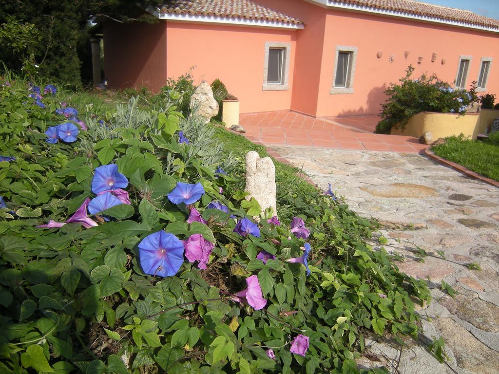 Country House Vignola Mare Aglientu Exterior foto
