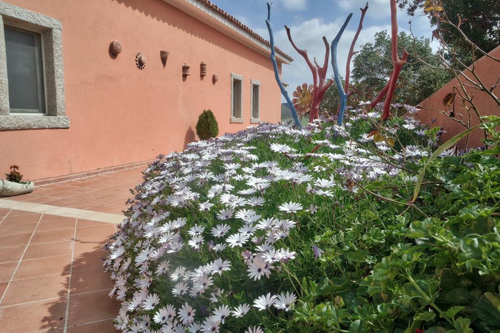 Country House Vignola Mare Aglientu Exterior foto